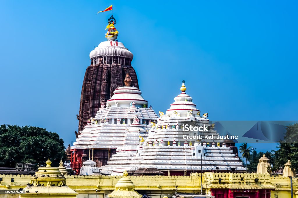 Odisha Govt nominates 10 members to Jagannath Temple committee