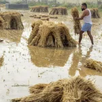 ୩ ଦିନ ଭିତରେ ସରିବ ବର୍ଷାରେ ଚାଷ କ୍ଷୟକ୍ଷତି ଆକଳନ; ୫ ଦିନରେ ମିଳିବ କ୍ଷତି ପୂରଣ ରାଶି