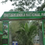 ପର୍ଯ୍ୟଟକଙ୍କ ପାଇଁ ବନ୍ଦ ହେଲା ଭିତରକନିକା 