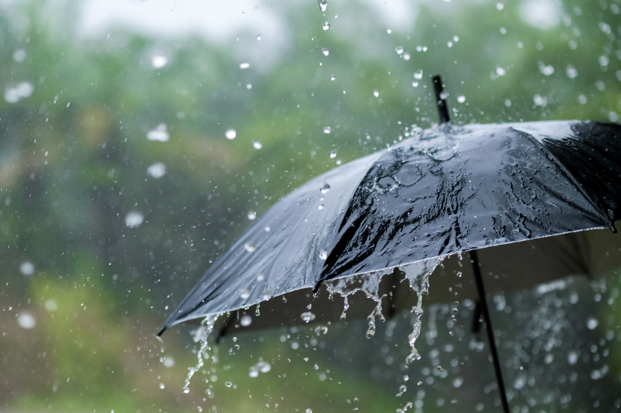 Kerala gets early monsoon, breaks 16-year record