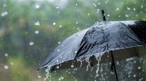 Odisha To Experience Intense Spells Of Rain till july 2