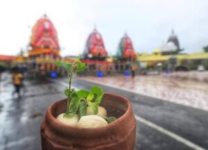 ଆଜି ନୀଳାଦ୍ରି ବିଜେ କରିବେ ମହାପ୍ରଭୁ; ମହାଲକ୍ଷ୍ମୀଙ୍କୁ ରସଗୋଲା ଖୁଆଇ ମାନ ଭଞ୍ଜନ କରିବେ କାଳିଆ ସାଆନ୍ତେ