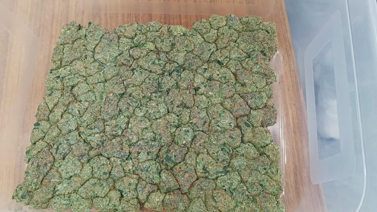 Marijuana worth Rs 4 crore seized at Bhubaneswar Airport
