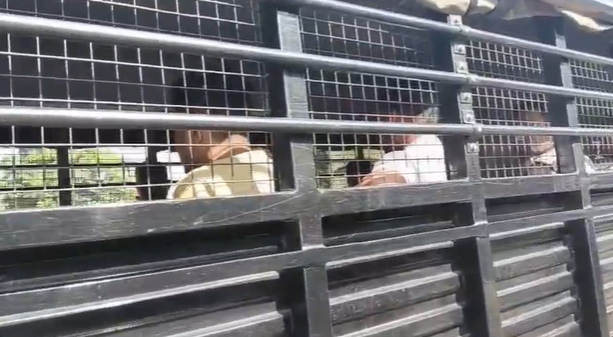 Pitabash Panda Murder Case: 6 accused taken on remand