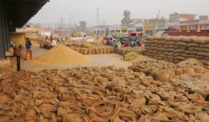 Paddy Procurement Mandis: ଡିସେମ୍ବର ୨୫ରୁ ରାଜ୍ୟରେ ଖୋଲିବ ମଣ୍ଡି