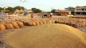 Kharif Paddy Procurement Underway In The State: ମୃତ ବ୍ୟକ୍ତିଙ୍କ ନାଁରେ ଯେତିକି ଚାଉଳ ଉଠିଥିବ, ଦେଢ଼ଗୁଣା ଆଦାୟ ହେବ: କୃଷ୍ଣଚନ୍ଦ୍ର ପାତ୍ର