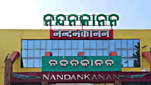 Nandankanan Registers Highest Visitor Footfall In 2025: ୨୦୨୫ରେ ନନ୍ଦନକାନନ ବୁଲିଲେ ୪୦ ଲକ୍ଷ ପର୍ଯ୍ୟଟକ