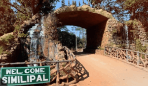Similipal Closed: ରାଷ୍ଟ୍ରପତିଙ୍କ ଗସ୍ତ ପାଇଁ ଫେବୃଆରୀ ୪ ରୁ ୬ ପର୍ଯ୍ୟନ୍ତ ପର୍ଯ୍ୟଟକଙ୍କ ପାଇଁ ବନ୍ଦ ରହିବ ଶିମିଳିପାଳ