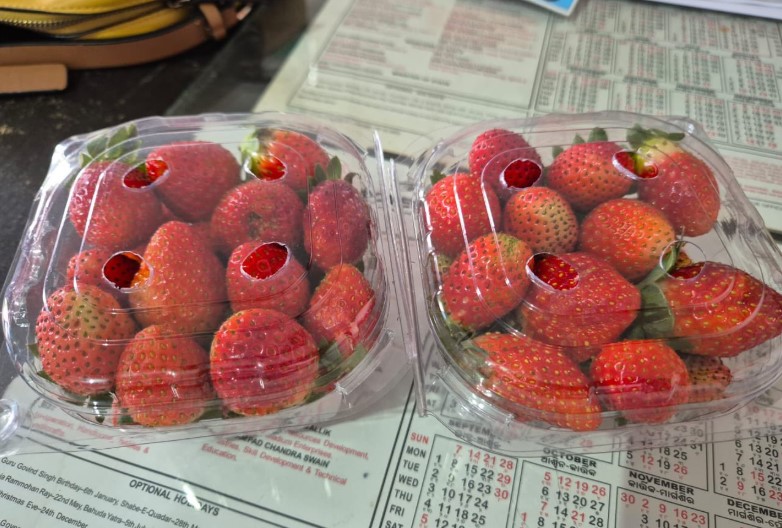 Cuttack Strawberry showcased On Republic Day