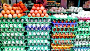 Saudi Arabia Bans Poultry, Egg Imports: ଭାରତ ସମେତ ୪୦ଟି ଦେଶରୁ କୁକୁଡ଼ା ଏବଂ ଅଣ୍ଡା ଆମଦାନୀ ଉପରେ ରୋକ ଲଗାଇଲା ସାଉଦି ଆରବ