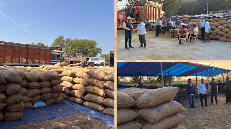 odisha government-releases-paddy-procurement-data