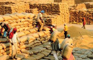 Paddy Procurement: ଚାଷୀଙ୍କଠାରୁ ଧାନକିଣା ସରିନି, ମିଲରଙ୍କ ଗୋଦାମ ଭର୍ତ୍ତି; ମନ୍ତ୍ରୀ କହିଲେ ଚାଷୀମାନେ ନକଲି, ମିଲରମାନେ ଅସଲି