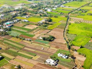 New QR Code Land Patta: ଜମି କିଣାବିକାରେ ଆଉ ହେବନି ଠକେଇ; ପଟ୍ଟାରେ ଲାଗିବ କ୍ୟୁଆର୍ କୋଡ୍