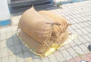 Farmer sells paddy to pay electricity bill