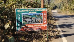 Baliguda DFO Served Show-Cause Notice: ବାଲିଗୁଡ଼ା ଡିଏଫଓ ଘନଶ୍ୟାମ ମହନ୍ତଙ୍କୁ ସୋ କଜ୍‌ ନୋଟିସ୍‌