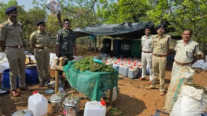 Anti-Drug Crackdown: ନିଶାଦ୍ରବ୍ୟ ବିରୋଧରେ ଓଡ଼ିଶା ପୋଲିସର ଐତିହାସିକ ସଫଳତା