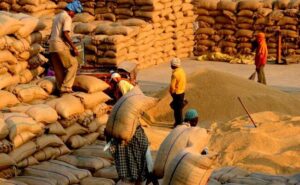 Paddy Procurement: ଆଉ ୭ ଦିନ ବଢ଼ିଲା ଧାନ କିଣା ଅବଧି: କୃଷ୍ଣଚନ୍ଦ୍ର ପାତ୍ର