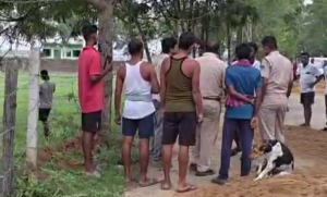 Sand Mafia Attack: ରାଜନଗର ଅତିରିକ୍ତ ତହସିଲଦାରଙ୍କୁ ବାଲି ମାଫିଆଙ୍କ ଆକ୍ରମଣ