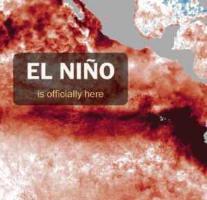 El Nino forms, expected to strengthen