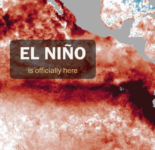 El Nino forms, expected to strengthen