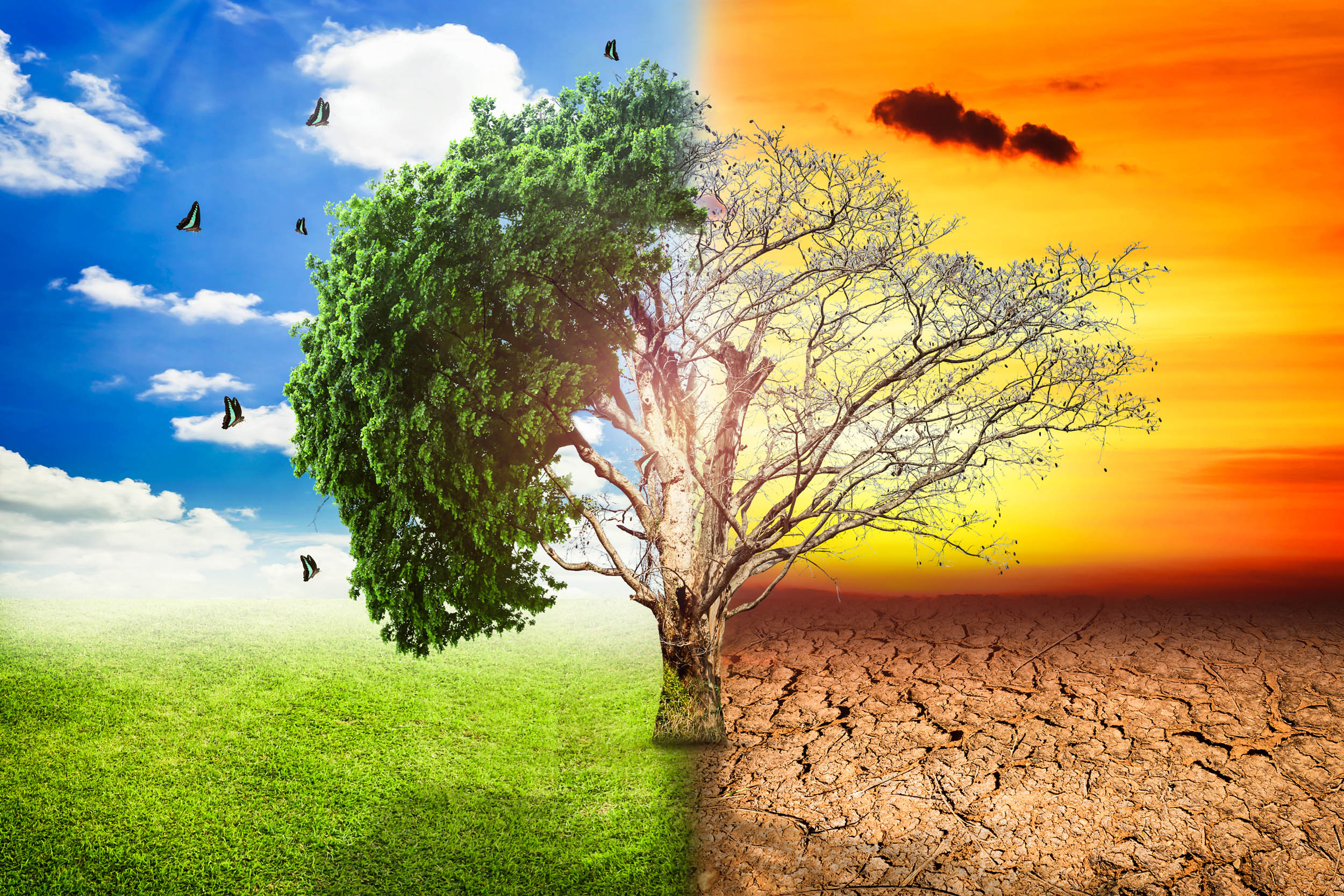 world-environment-day-2026-climate-change-is-no-longer-just-an-environmental-issue-its-a-health-crisis