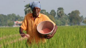 Fertilizer Crisis in Odisha: ରାଜ୍ୟରେ ଦୂର ହେବ ସାର ସଂକଟ; ଡିଏପି ଓ ୟୁରିଆର ବିକଳ୍ପକୁ ପ୍ରୋତ୍ସାହନ ପାଇଁ ଚିଠି