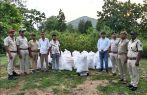 Major Drug Bust in Malkangiri: ମାଲକାନଗିରିରୁ ୧୦ କୋଟିର ଗଞ୍ଜେଇ ଜବତ, ଖସିଗଲେ ଚାଲାଣକାରୀ
