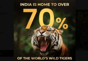 आज अंतर्राष्ट्रीय बाघ दिवस 2026; दुनिया के लगभग 70% बाघों के साथ भारत बाघ संरक्षण में सबसे आगे