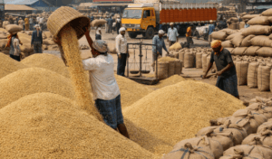 Odisha Extends Paddy Registration Deadline: ରାଜ୍ୟରେ ୭ ଦିନ ବଢ଼ିଲା ଧାନ ପଞ୍ଜୀକରଣ ସମୟସୀମା