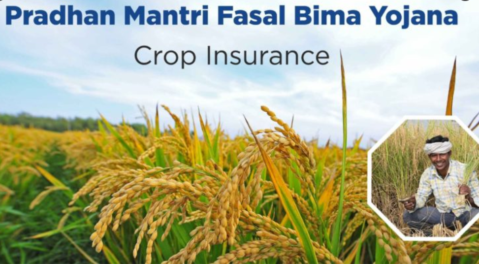 Pradhan Mantri Fasal Bima Yojana Registration Deadline Extended Till August 31