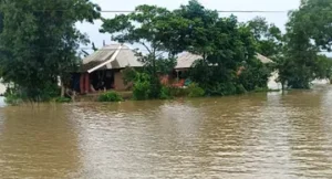 Odisha Flood Alert: ବନ୍ୟା ସ୍ଥିତି ତଦାରଖ କରିବାକୁ ୩ ବରିଷ୍ଠ IASଙ୍କୁ ମିଳିଲା ୩ ଜିଲ୍ଲାର ଦାୟିତ୍ୱ