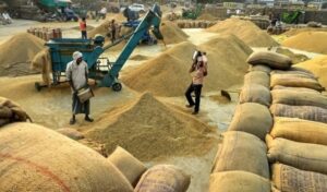 Odisha Kharif Paddy Procurement 2026-27: ଖରିଫ ଧାନ କିଣା ପାଇଁ ପଞ୍ଜୀକରଣ ଆରମ୍ଭ