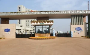 OMFED To Expand Product Range: ବଜାରକୁ ଆସିବ ଓମ୍‌ଫେଡ୍‌ ଆଇସ୍‌କ୍ରିମ୍‌ ଓ ପାଣି