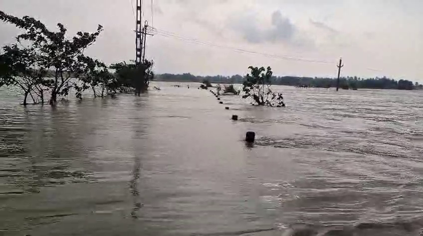 Flood Threat Looms Large in Odisha as Several Rivers Cross Danger Marks Amid Heavy Rains