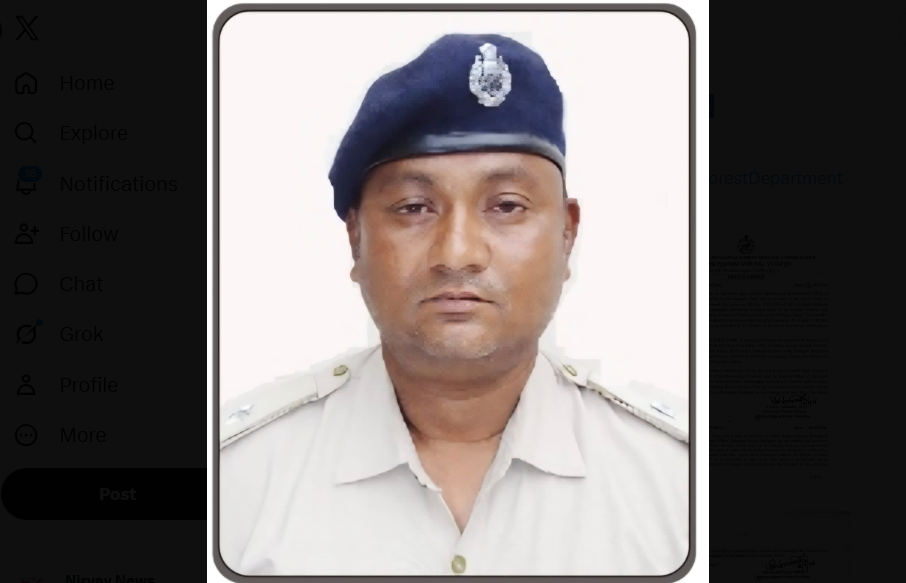 Nabarangpur forester suspended over illegal tree felling financial irregularities