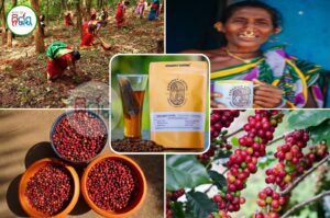 Koraput Coffee at BRICS Summit: ବ୍ରିକ୍ସ ସମ୍ମିଳନୀରେ କୋରାପୁଟର ସ୍ୱାଦ: ‘ଟାଇଗର ବ୍ରାଇଟ୍’ ଜରିଆରେ ବିଶ୍ୱ ଦରବାରରେ ଓଡ଼ିଶା କଫି