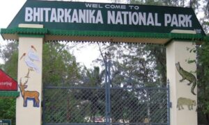 Bird Census Begins in Bhitarkanika: ଆଜିଠୁ ଭିତରକନିକାରେ ଦେଶୀୟ ପକ୍ଷୀ ଗଣନା ଆରମ୍ଭ