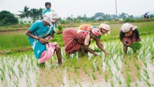 PM Kisan 24th Installment to be Released Tomorrow: ଆସନ୍ତାକାଲି ମିଳିବ ୨୪ତମ ପିଏମ୍ କିଷାନ୍ କିସ୍ତି ଟଙ୍କା